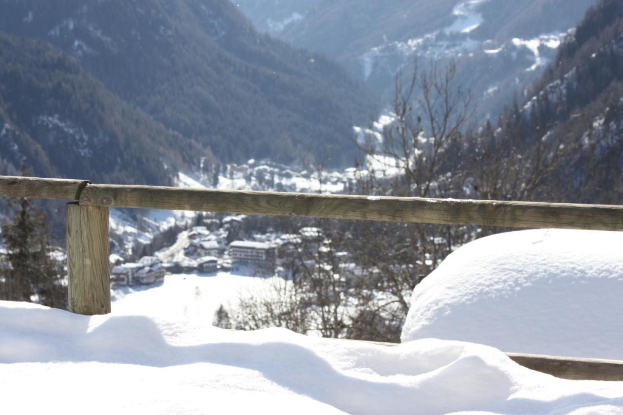 Studio Ebi Vacation - Alleghe - Monte Civetta ภายนอก รูปภาพ