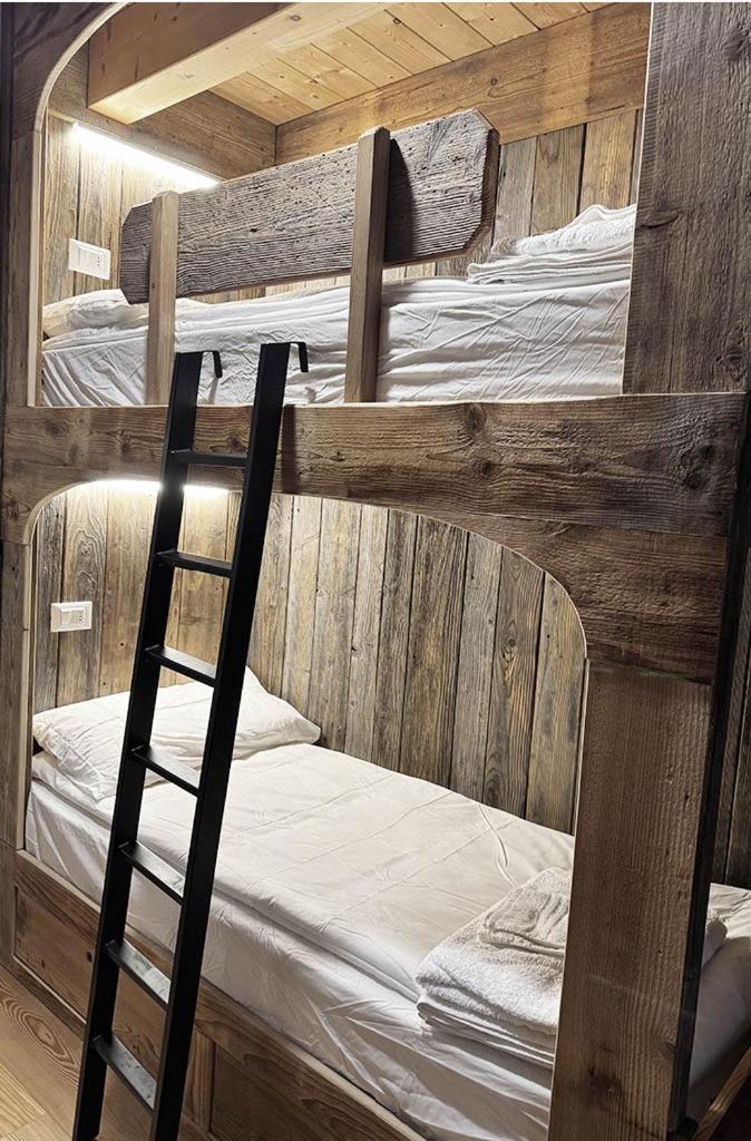 Studio Ebi Vacation - Alleghe - Monte Civetta ภายนอก รูปภาพ